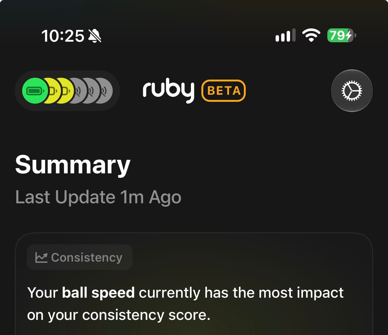 Ruby mobile app Summary screen with the settings gear icon in the upper-right corner